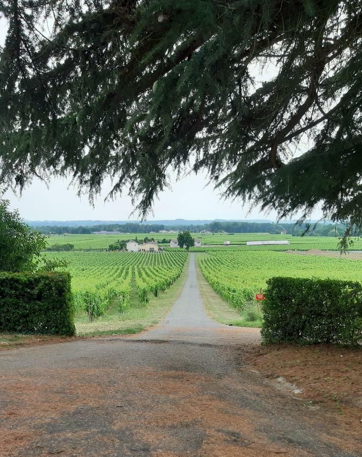 Bed and Breakfast A L'OMBRE DE LA TREILLE -Proche Saint-Emilion Exterior foto